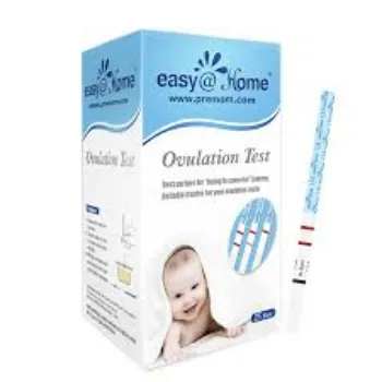 Ovulation Test
